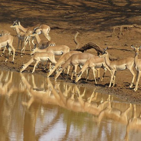 Sable Creek Safari Lodge Tzaneen Ngoại thất bức ảnh
