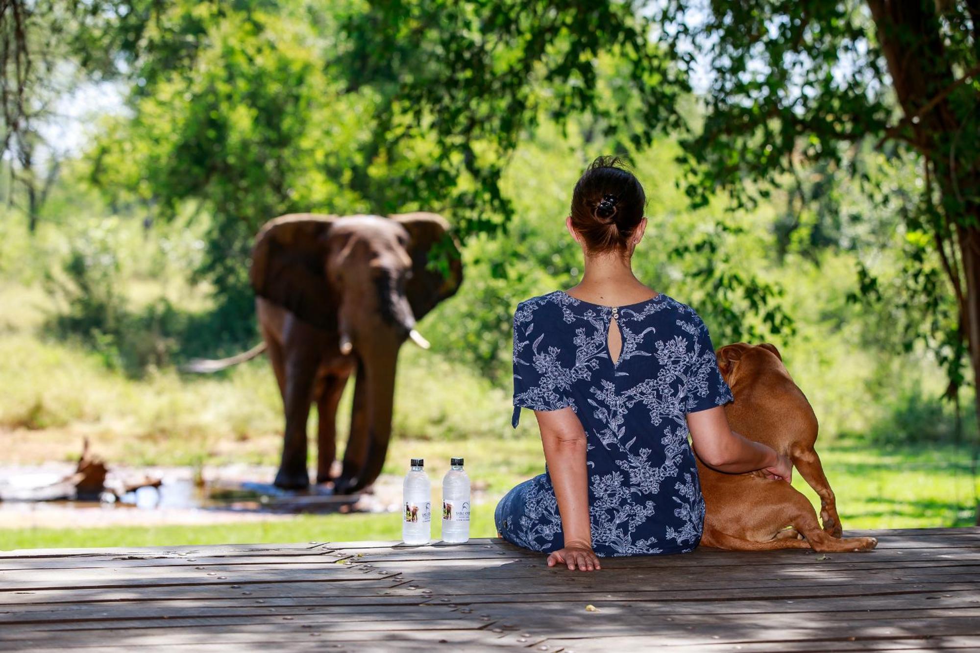 Sable Creek Safari Lodge Tzaneen Ngoại thất bức ảnh
