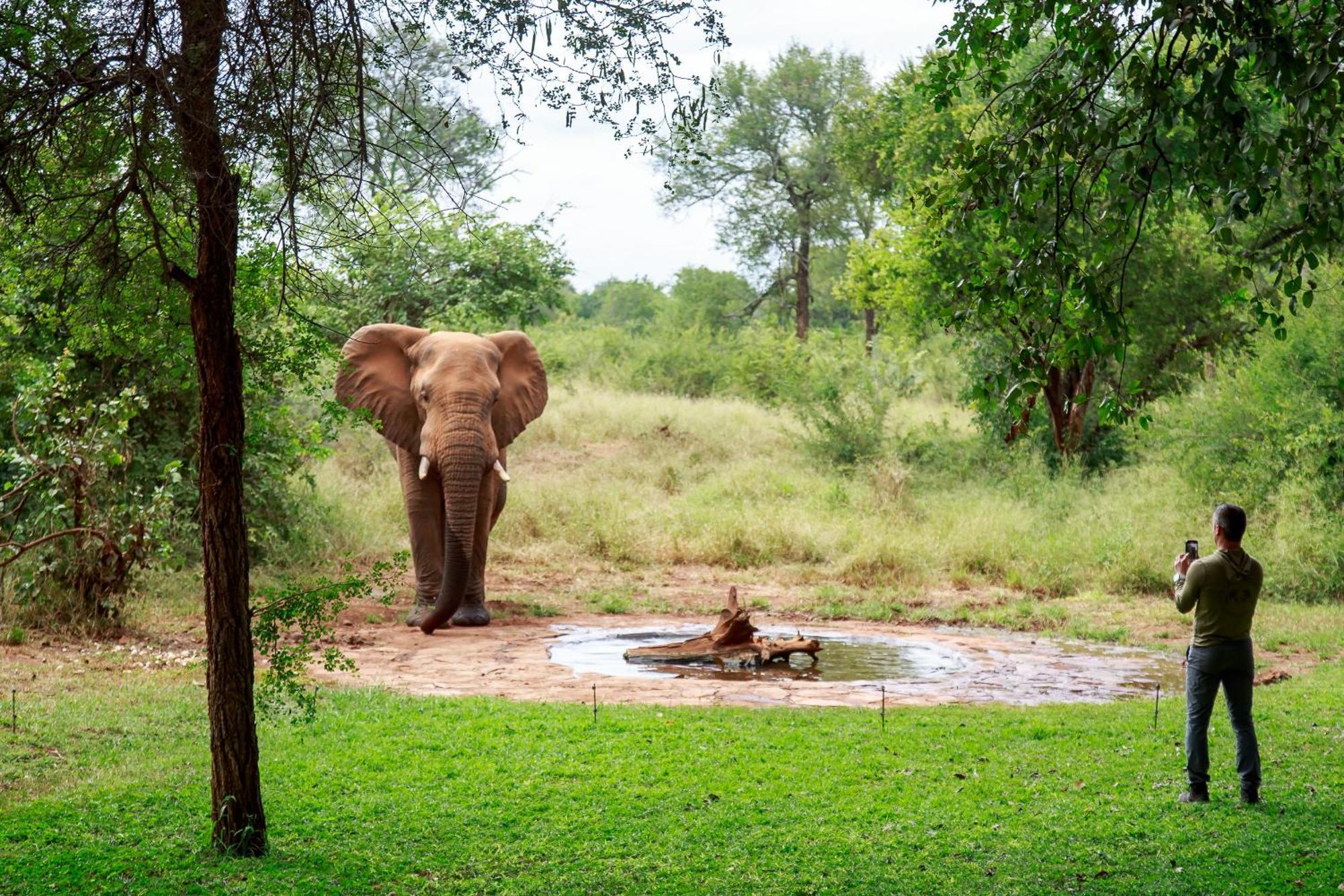 Sable Creek Safari Lodge Tzaneen Ngoại thất bức ảnh
